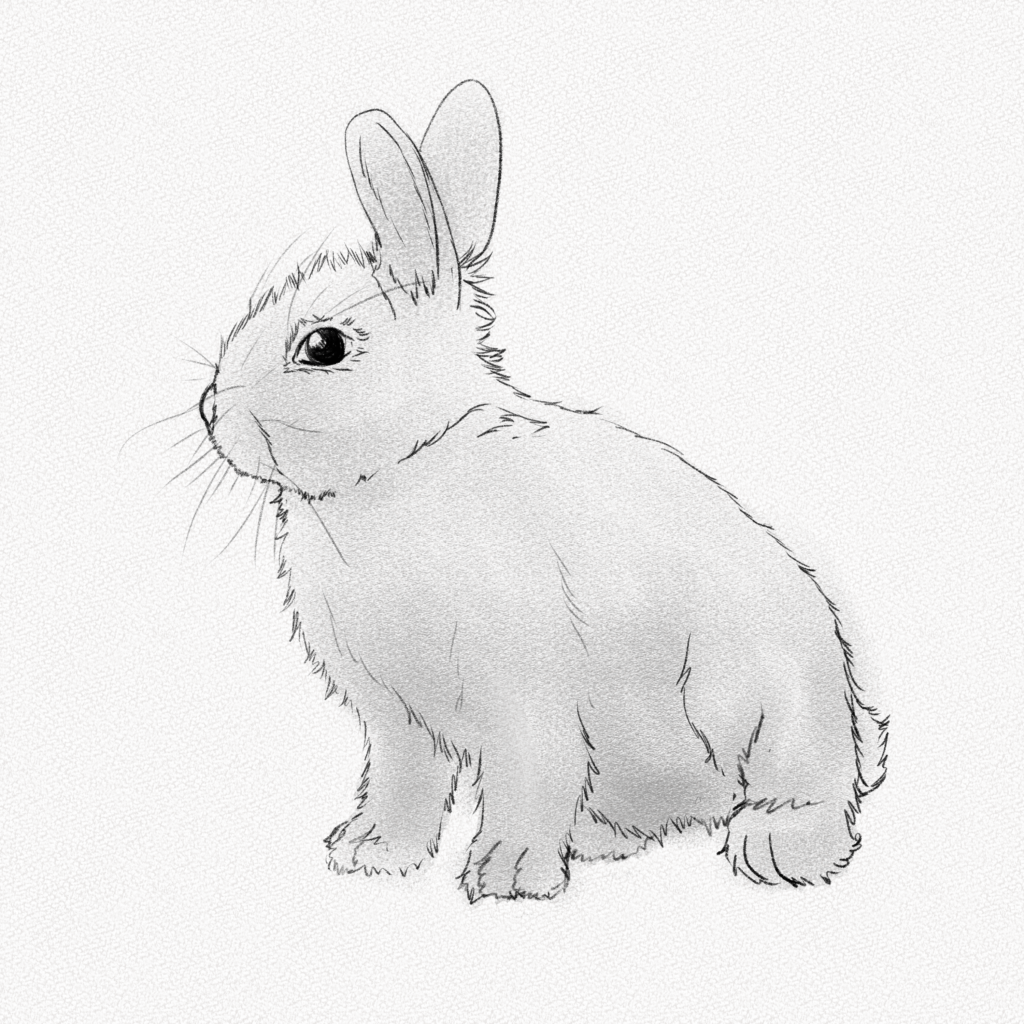 comment dessiner un lapin