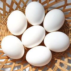 Egg Baskets For Fresh Eggs - Temu Philippines