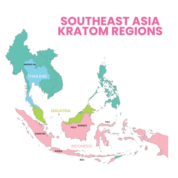 Infographic depicting a map of southeast asia _ color coding the various regions of where the different kratom strains originate
