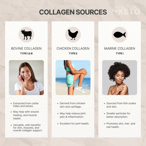 chart explaining different sources of collagen