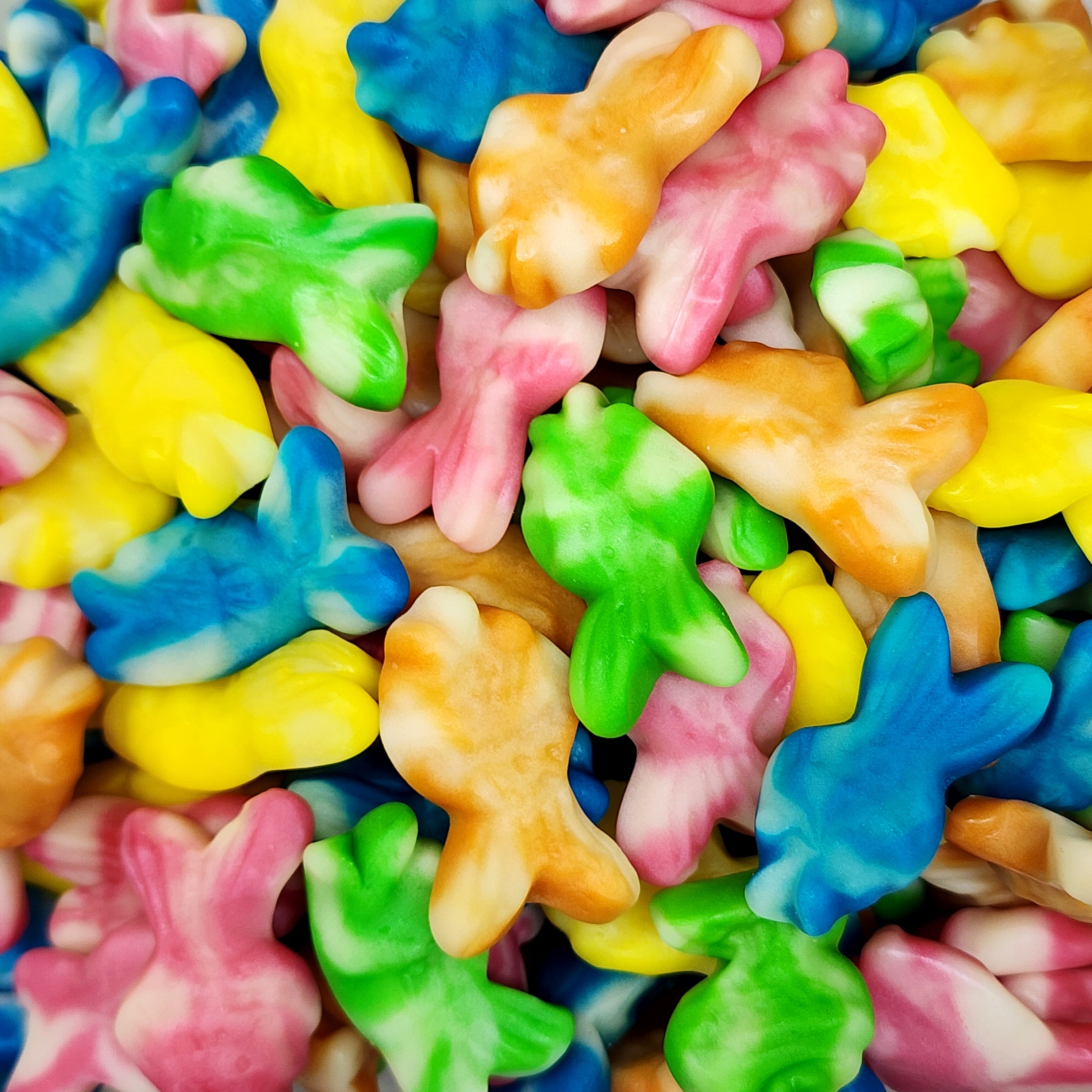 Colourful Rainbow Fish - Order Lollies Online - Candy Co