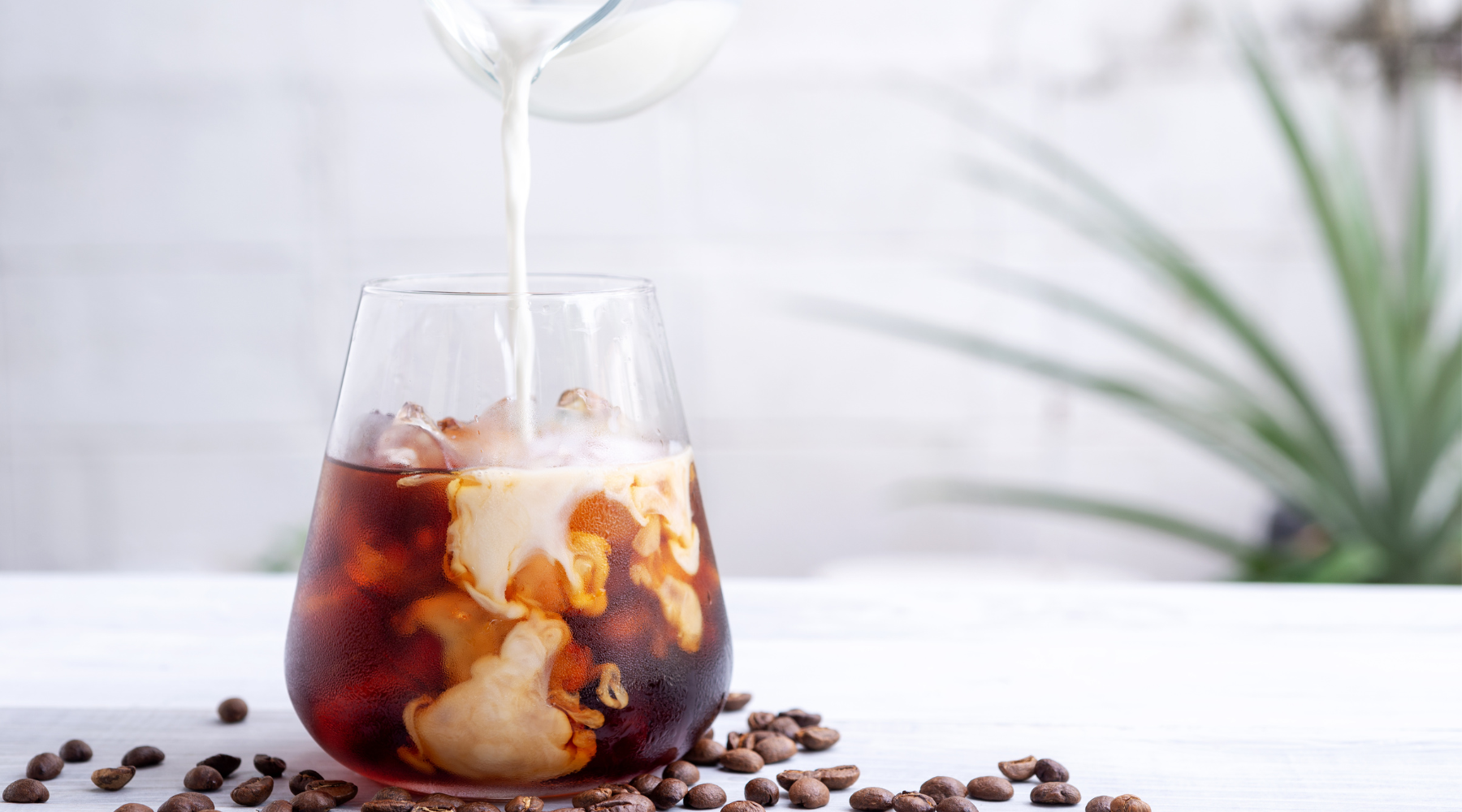 Cold Brew vs Iced Coffee: Key Differences and Similarities