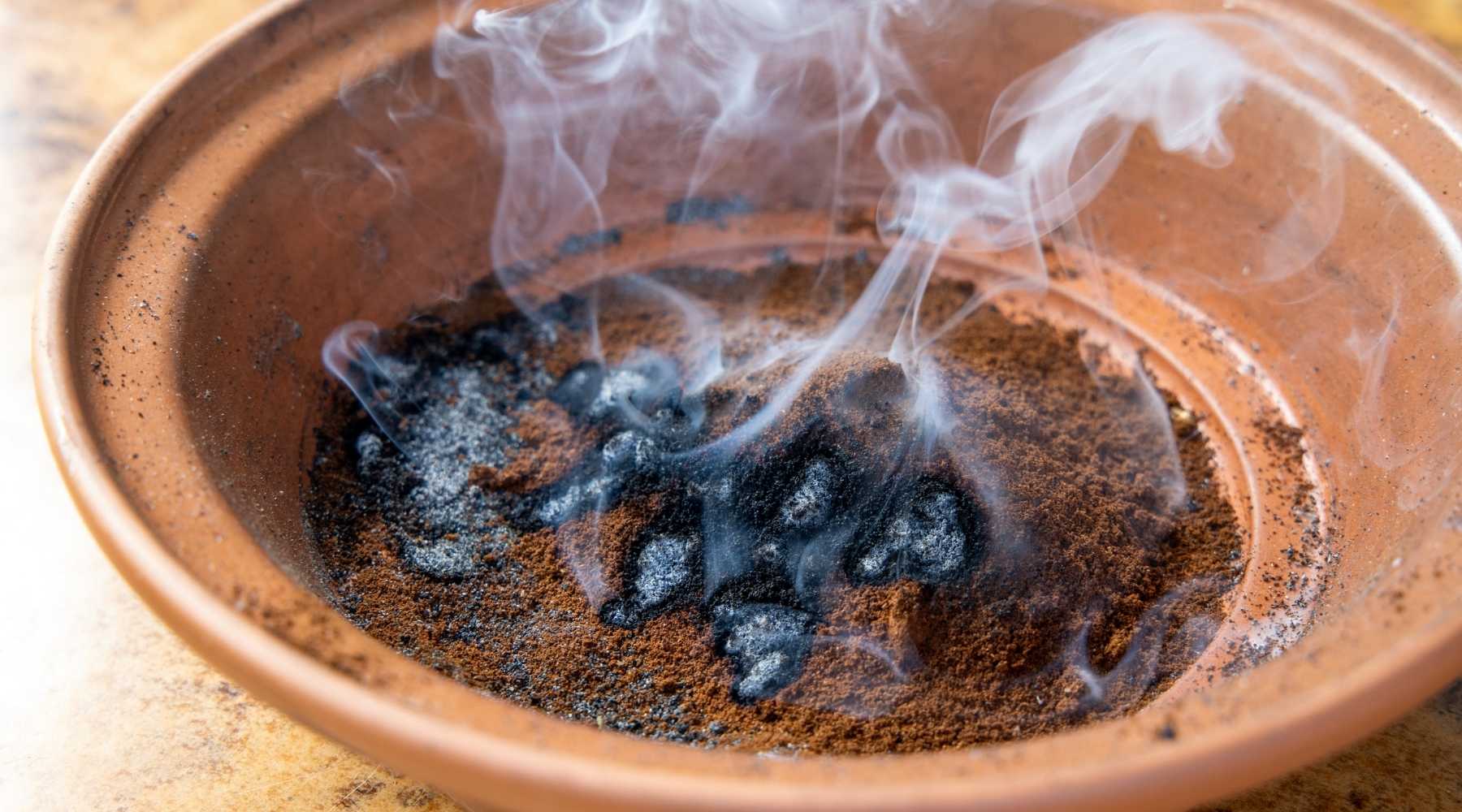 Using Coffee Grounds to Repel Insects