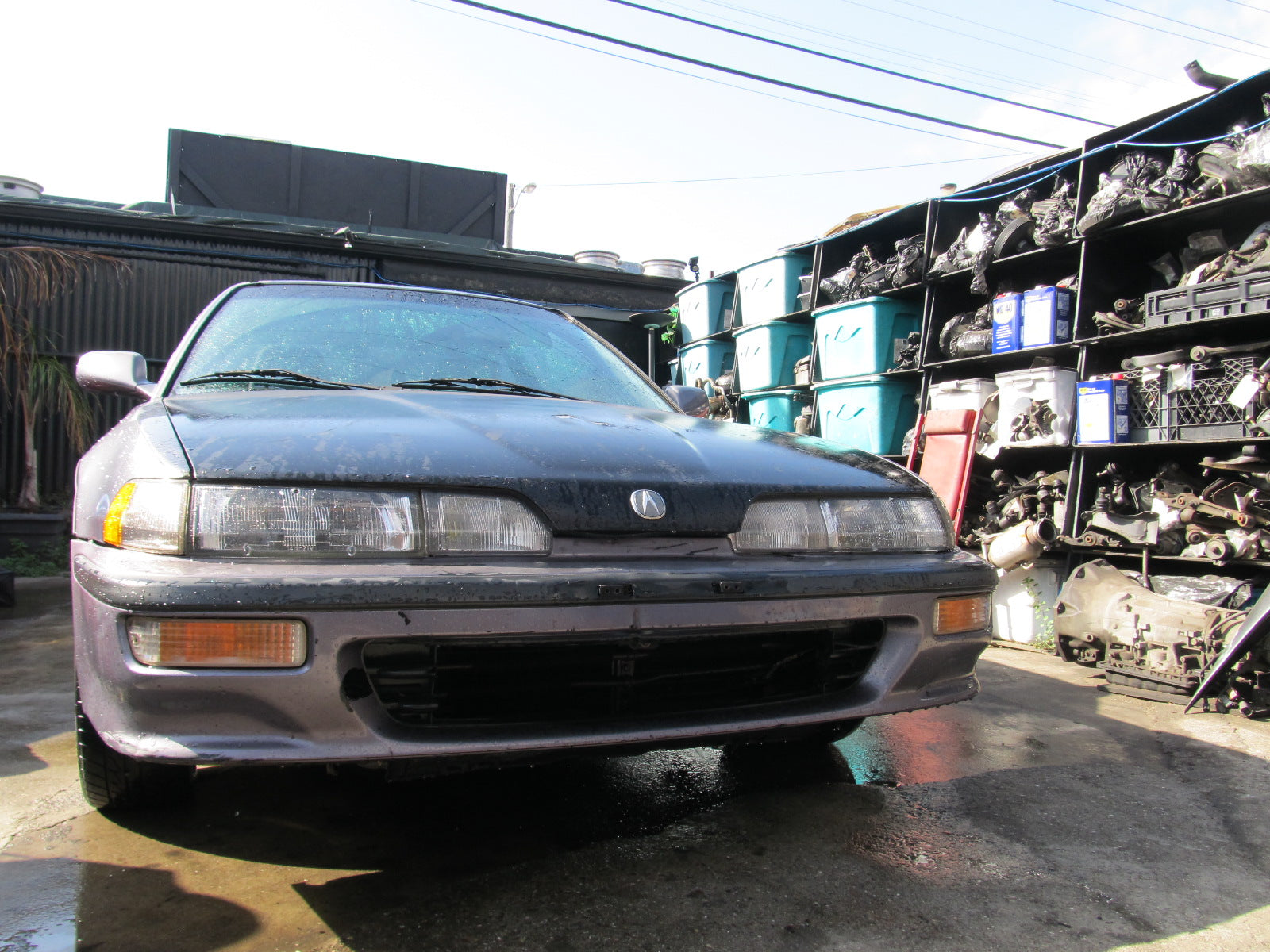 1993 Acura Integra Coupe A/T - Ap1 Project Picture Gallery