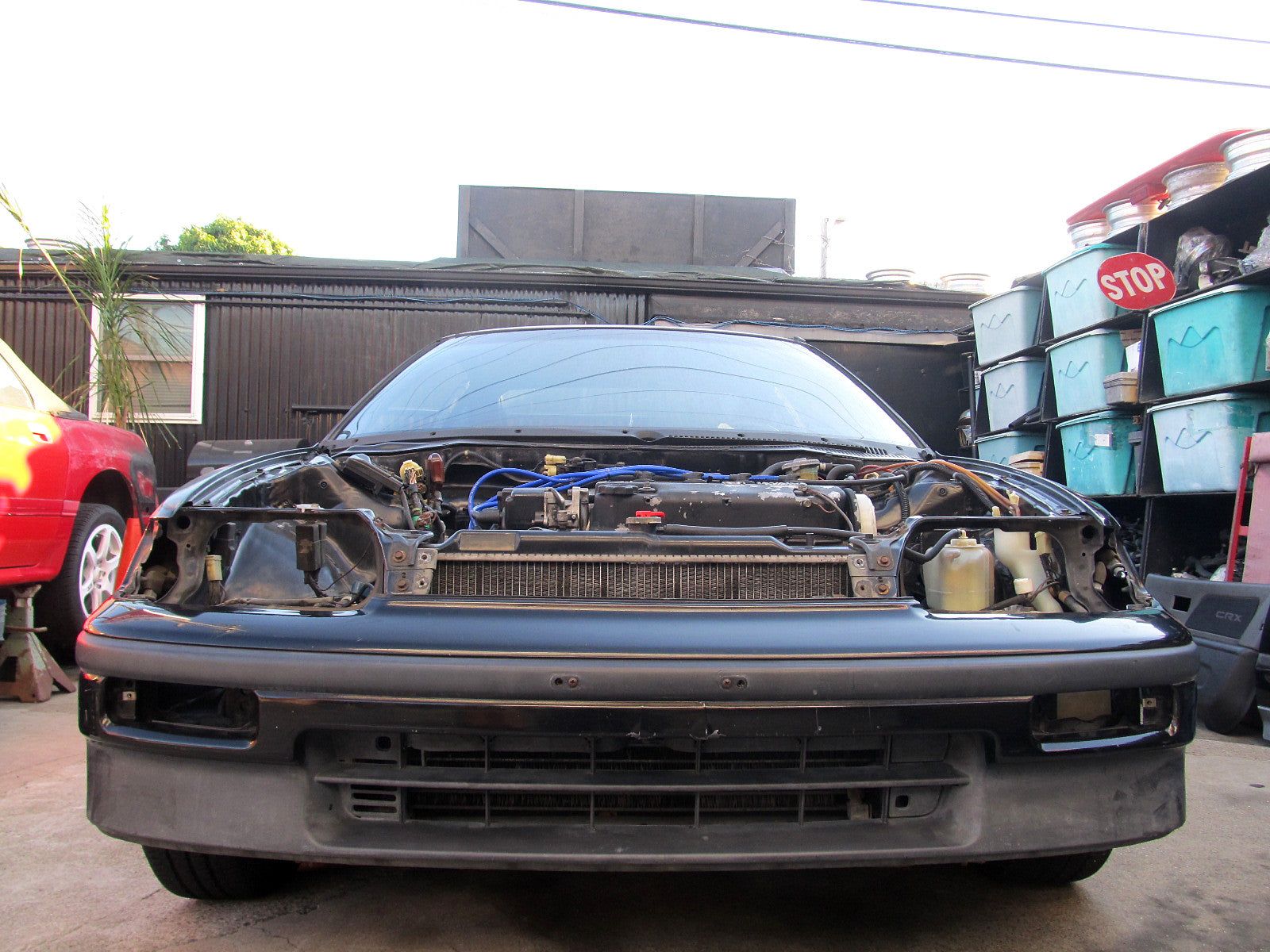 Ap1project CRX ZC