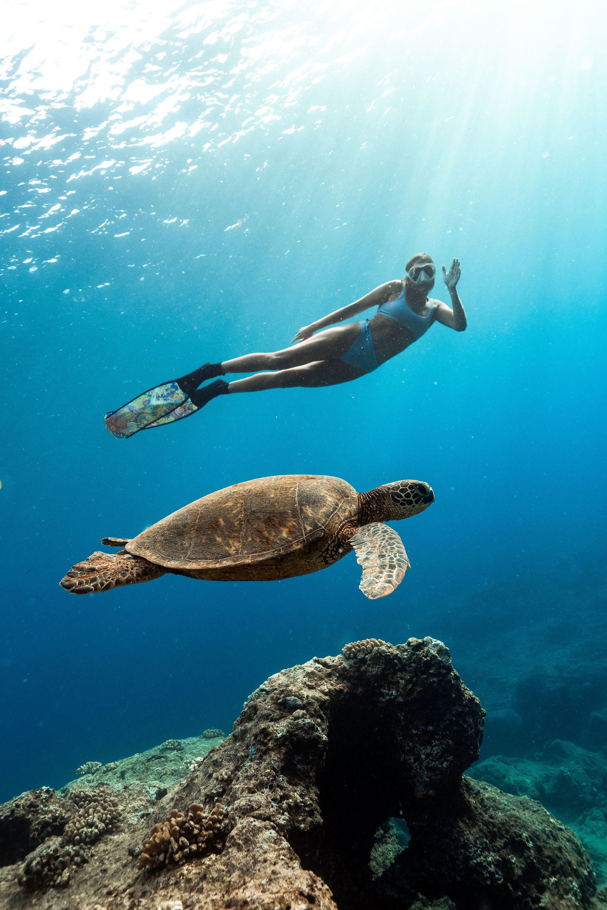 underwater woman free diving with an ocean turtle