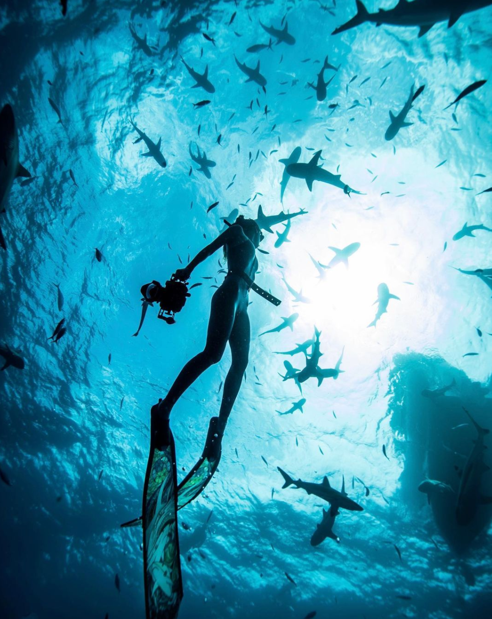 Madison Stewart diving with sharks