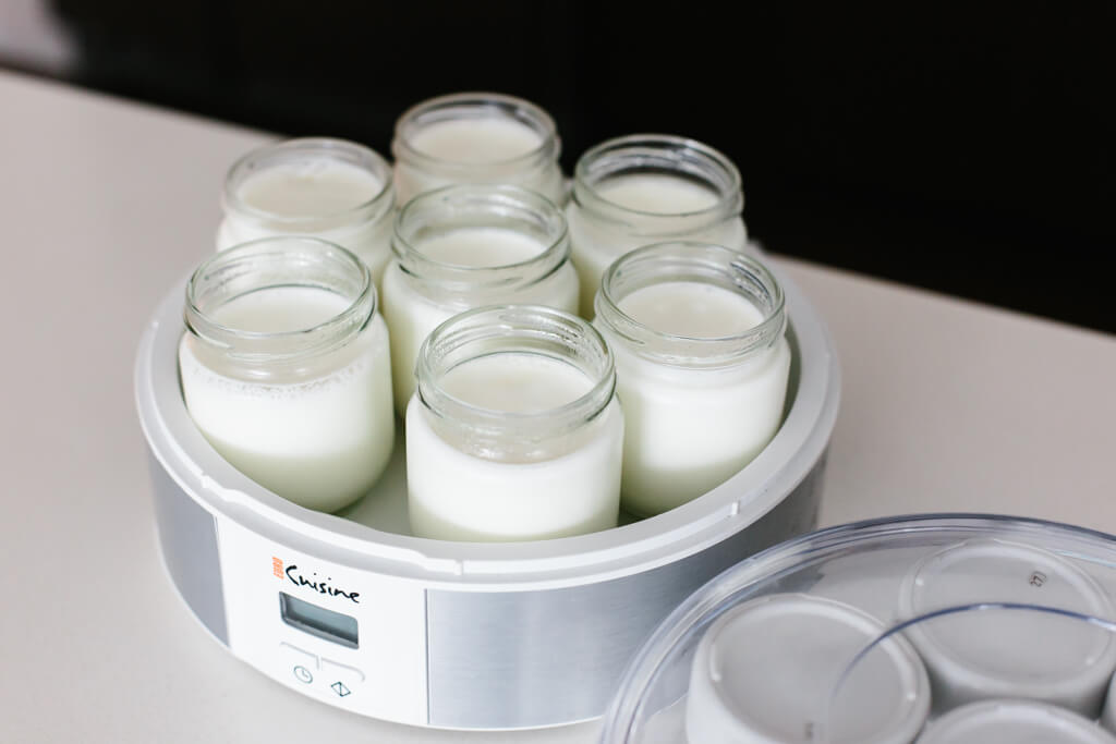 Sehat dan Hemat, Inilah Cara Membuat Yoghurt di Rumah yang Bisa Diprak