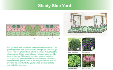 georgina garden centre shady side garden design