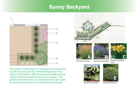 georgina garden centre sunny backyard garden design