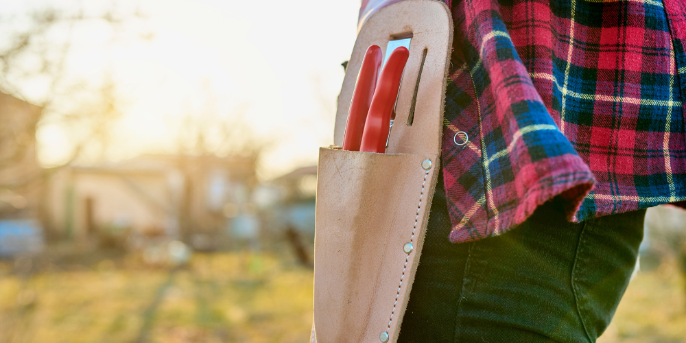 Georgina Garden Centre-Keswick-Ontario-What You Should Really Prune this Fall-belt holster for pruners