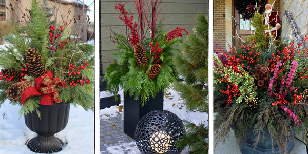 Georgina Garden Centre-Keswick-Ontario-DIY Christmas Planters-themed planter design