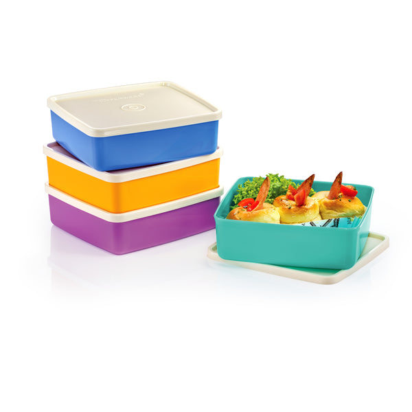 Ridhi Sidhi Tupperware Divided Duo 1 Containers Lunch Box 