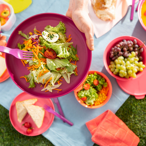 containers for picnic in Malaysia