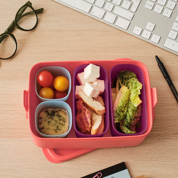 packing lunches in food containers