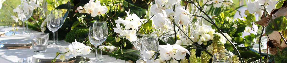 Orchideen Hochzeit Tischdeko