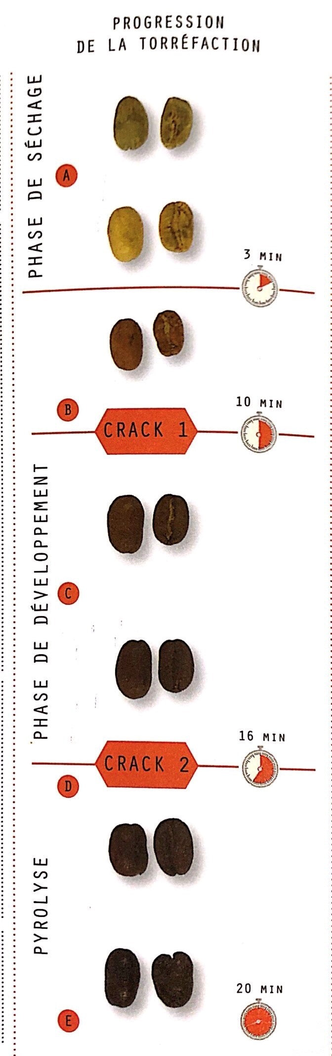 Progression de la torréfaction - Livre Le café c'est pas sorcier