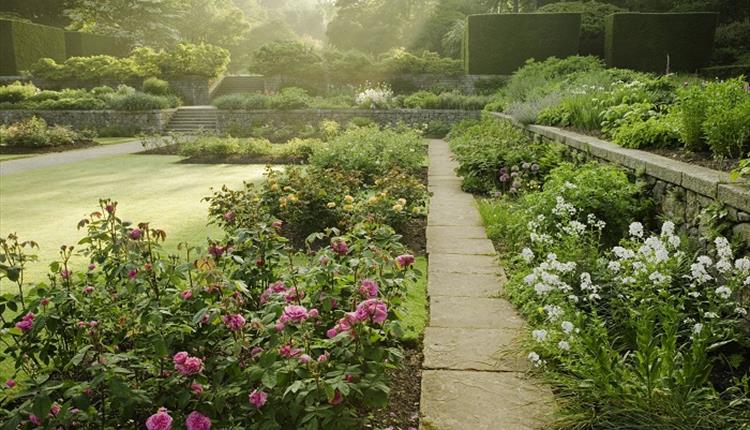 Plant supports at Castle Drogo National Trust gardens - Plant Belles