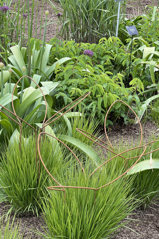 Leaf supports with Molinia grasses