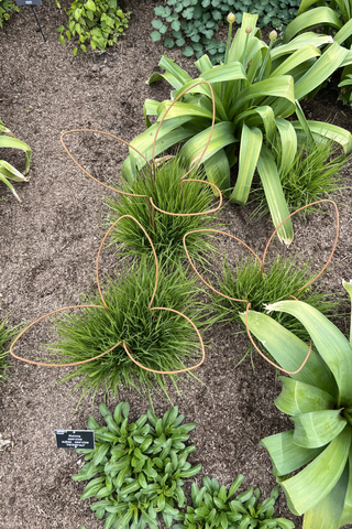 Leaf supports with Molinia grasses