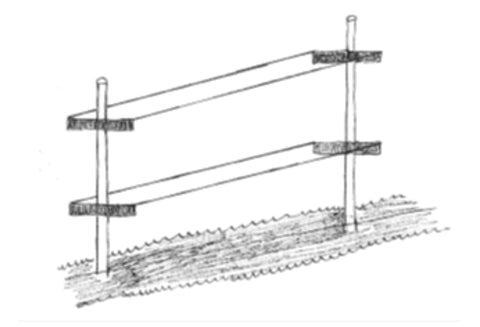 Illustration över hur man kan bygga ett stöd till hallonplantor