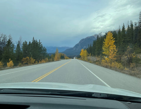 View out car front windshield of highway lined with yellow trees