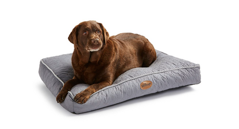 silentnight orthopedic dog bed