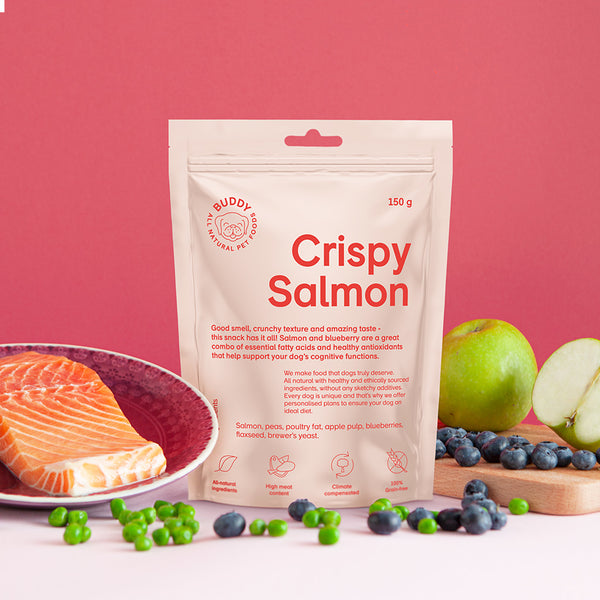 Crispy Salmon - ett knaprigt nyttigt hundgodis