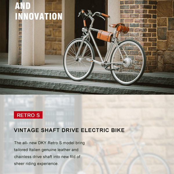  DKY ebikes-Vintage  Electric Bike  City Bike