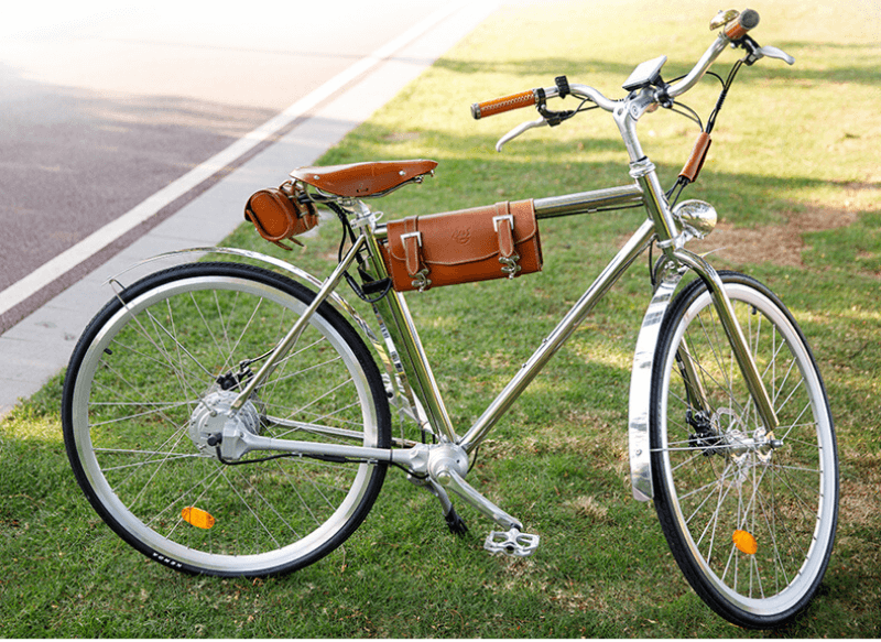  DKY ebikes-Vintage  Electric Bike  City Bike