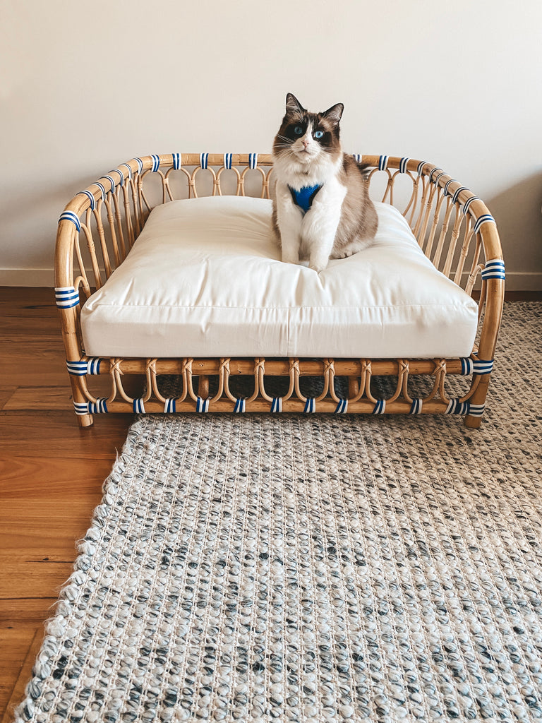 rattan dog bed