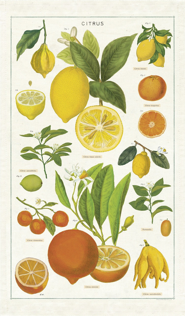 Vintage Tea Towel Citrus