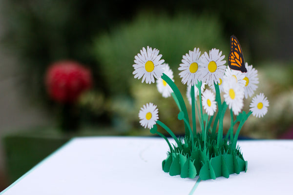 daisy pop up card