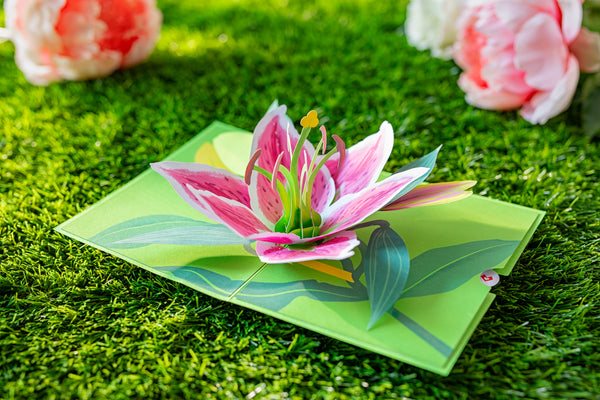 lily bloom pop up card