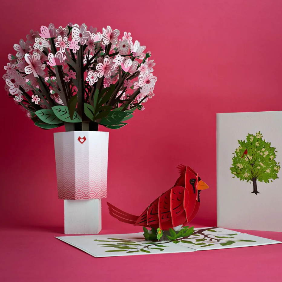 cherry blossom and cardinal condolence gift