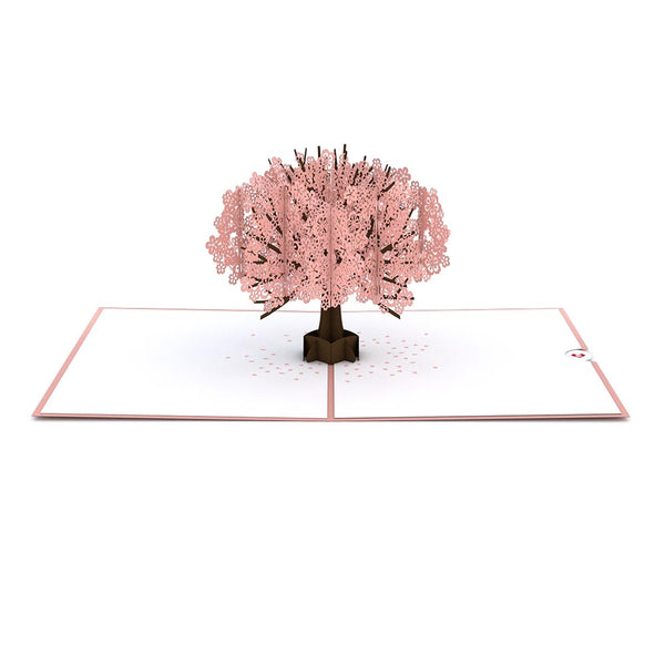 Cherry Blossom 3D Pop Up Card