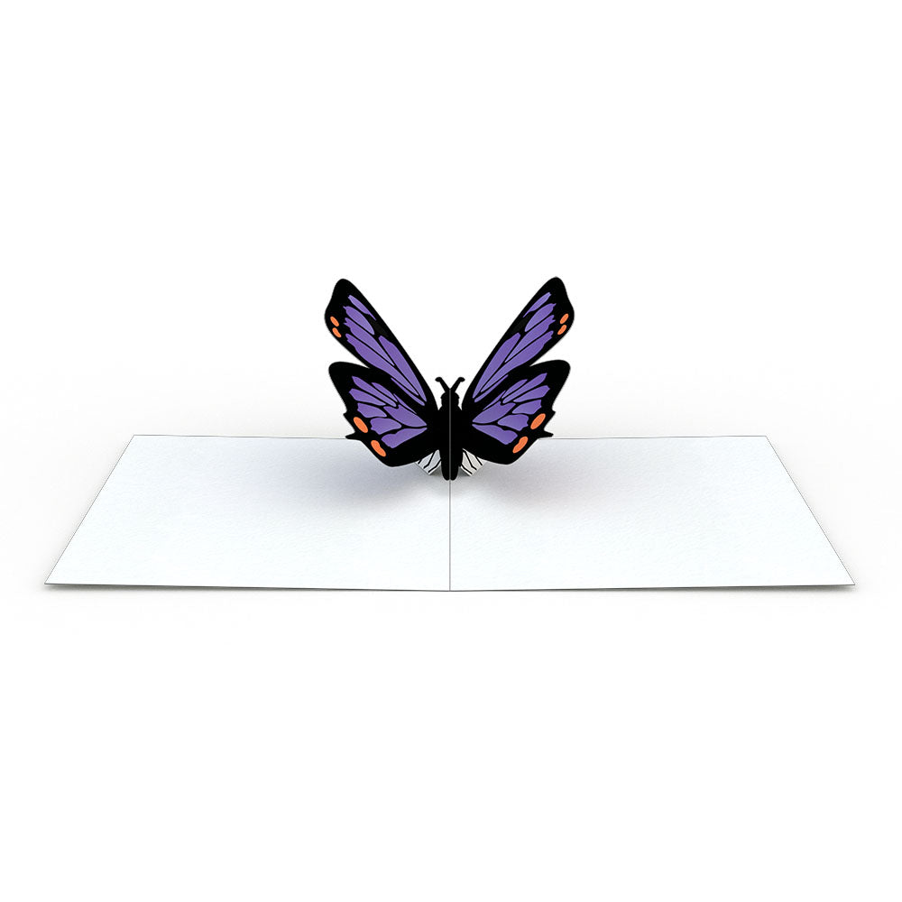 Notecard 4 Pack Butterfly Lovepop