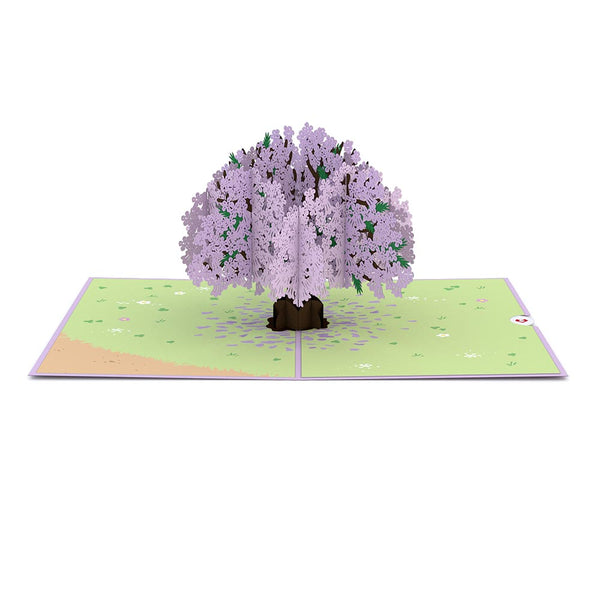 Jacaranda Tree Pop Up Card