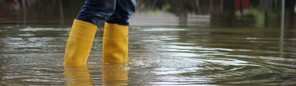 flood survival supplies