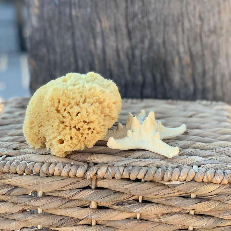 Sponge -- Natural Sea Wool - Small