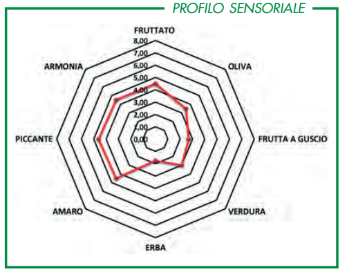 Olio Extravergine di Oliva Casa Lucii Miglior Vincitore dell'Olio Toscano Selezione Toscana