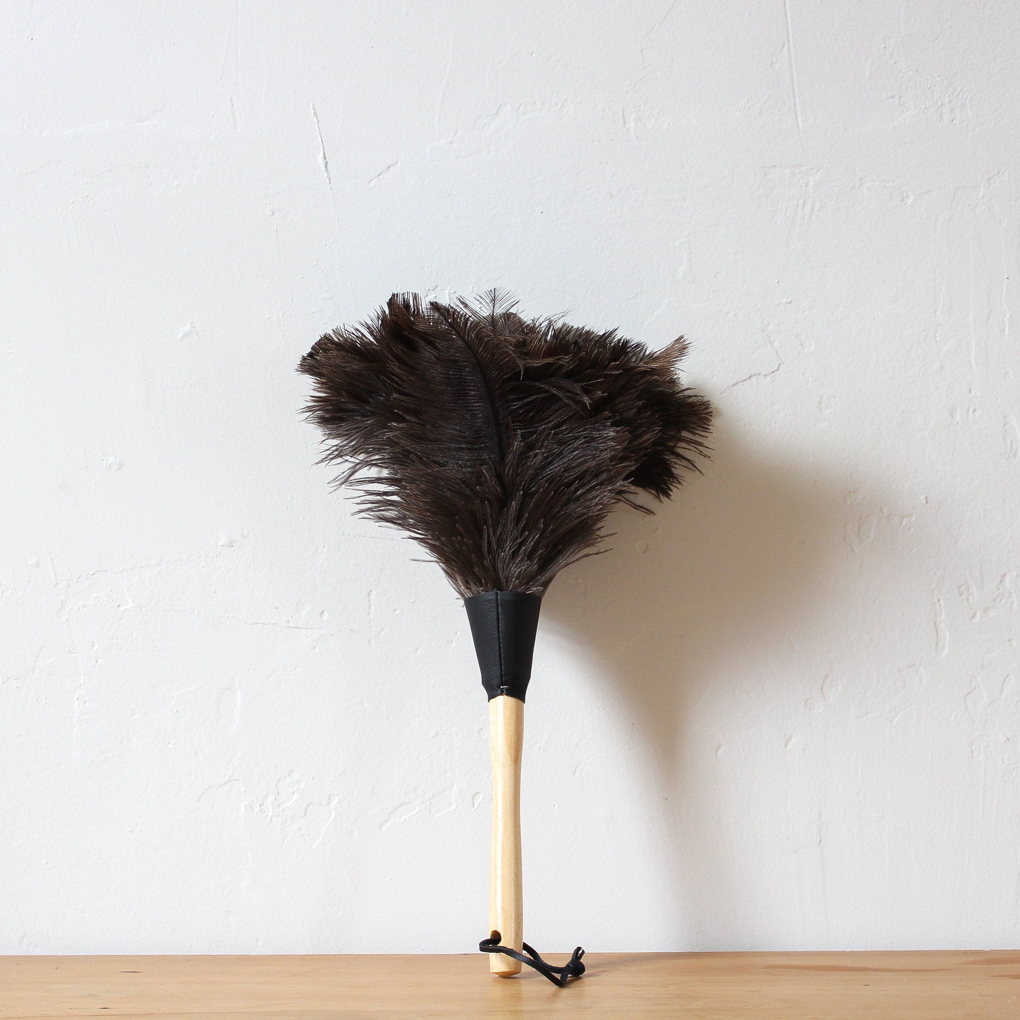 18 in. Ostrich-Down Feather Duster  The Clean Team Catalog featuring Speed  Cleaning Products