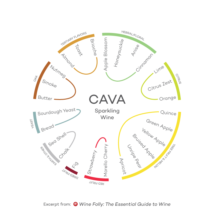 Cava tasting wheel