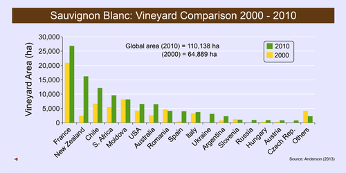 Sauvignon Blanc Vineyard comparison graph