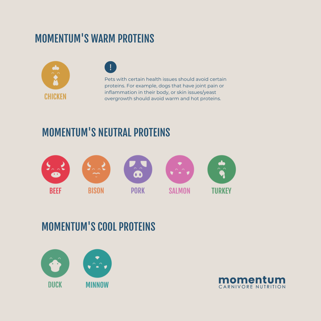 Momentum Carnivore Nutrition warm, cold, and neutral proteins