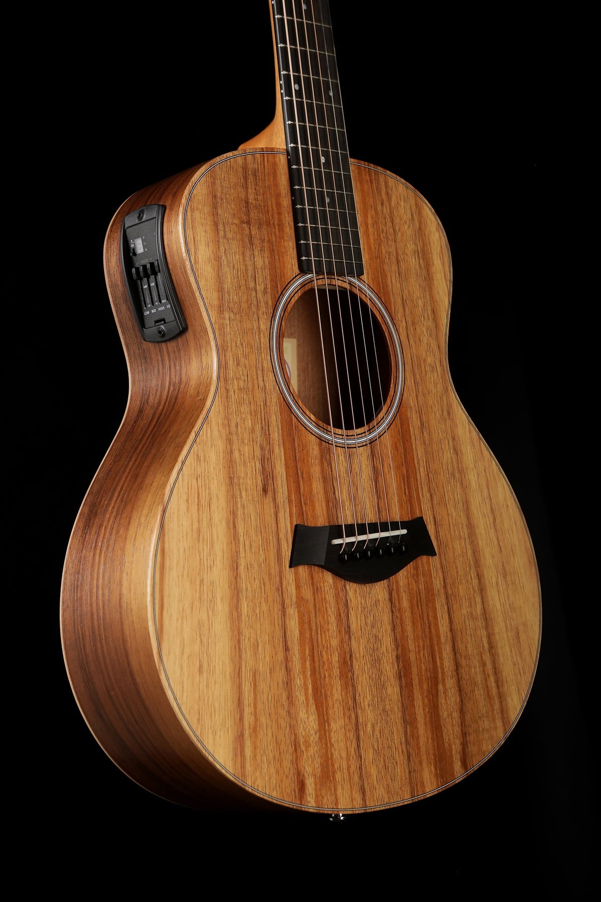 taylor gs mini perth