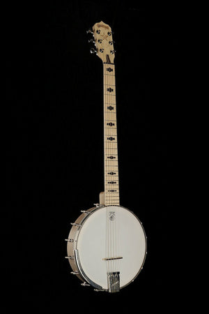 deering banjos for sale.