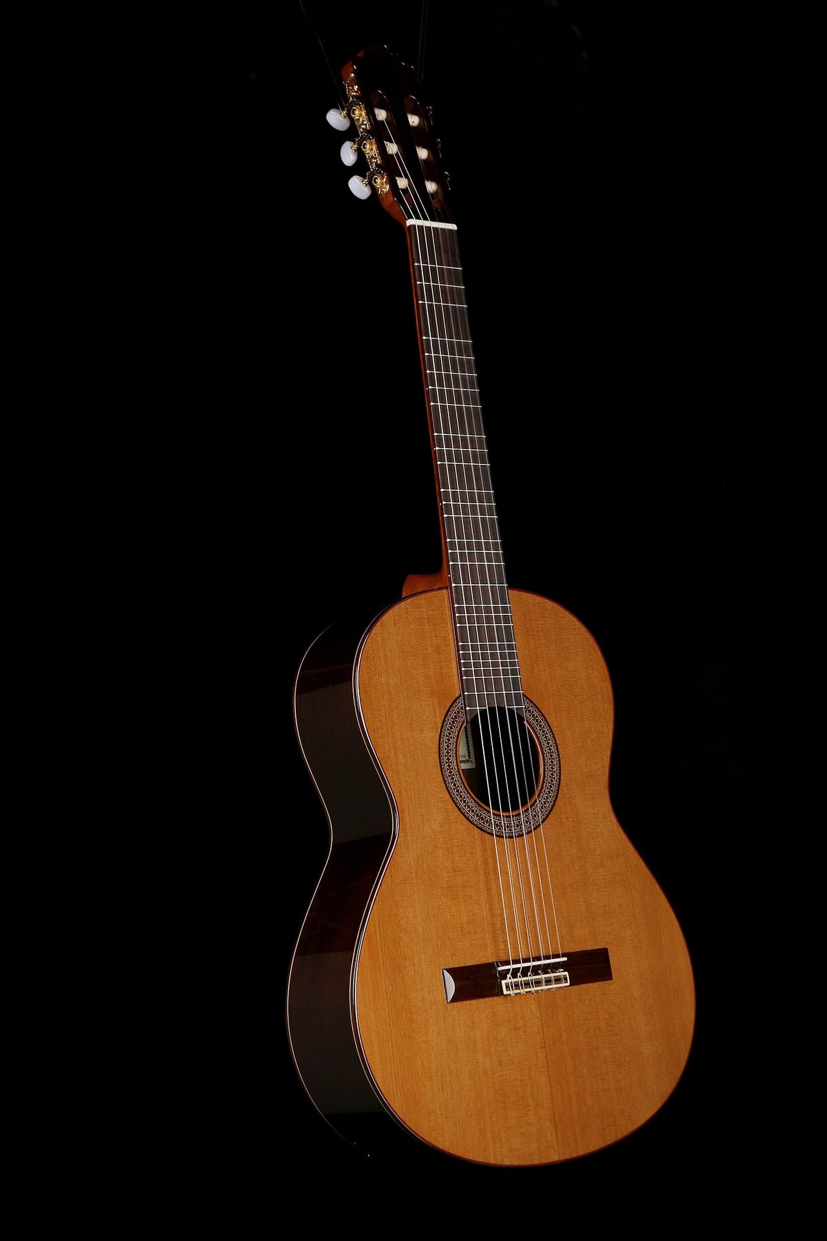 受注発注 Altamira Guitars N400+ クラシックフレットレスギター 公式