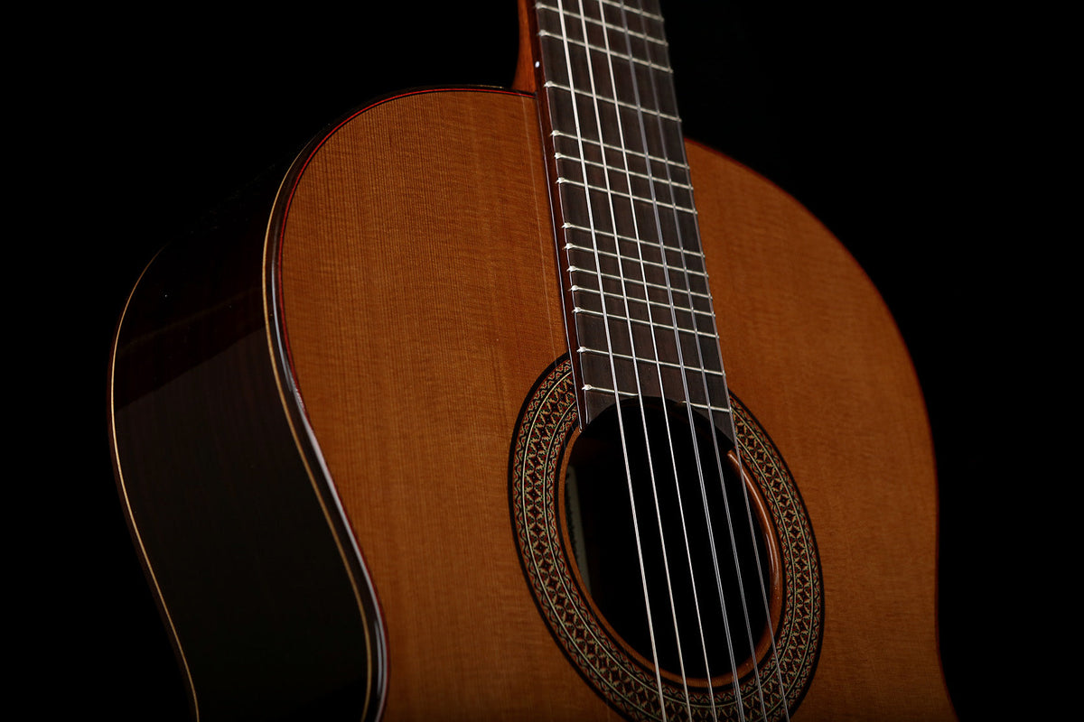 microtonal acoustic guitar