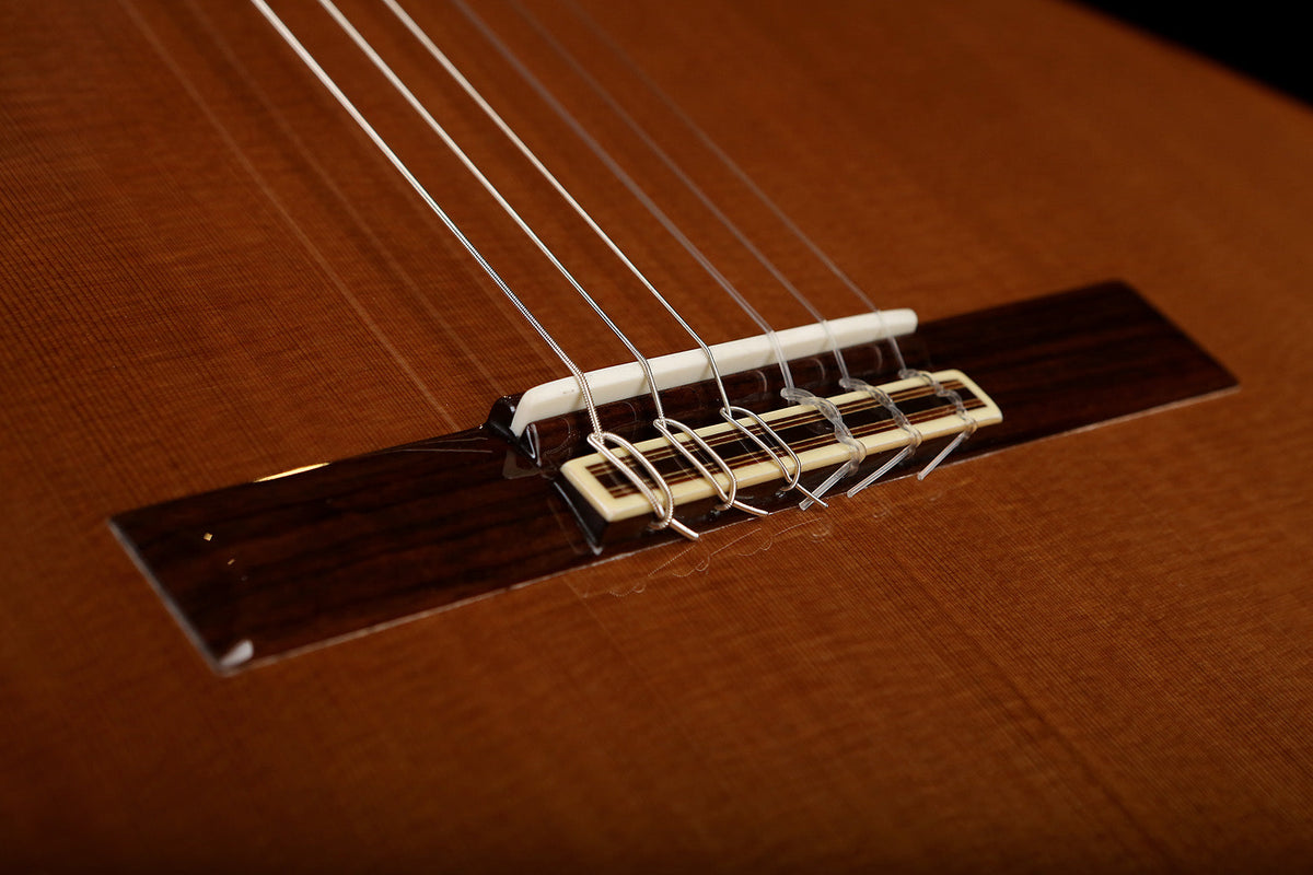 microtonal acoustic guitar